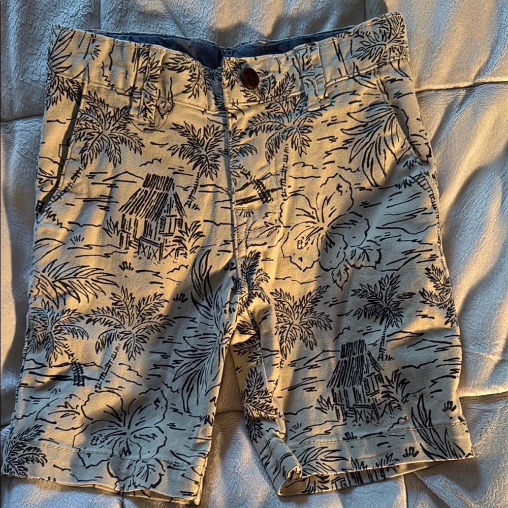 Wonder Nation Blue and Cream Shorts boys size 5